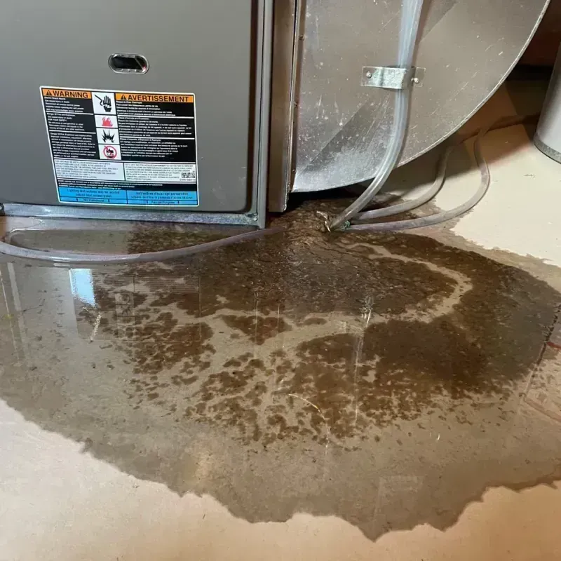 Appliance Leak Cleanup in Eatontown, NJ